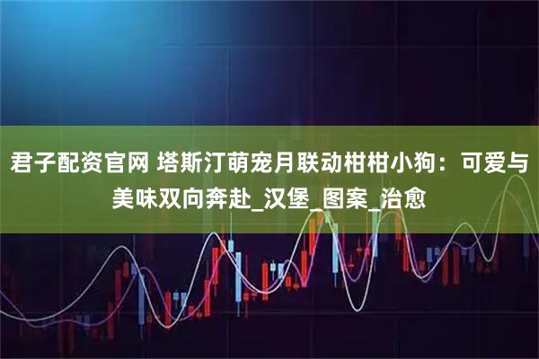 君子配资官网 塔斯汀萌宠月联动柑柑小狗：可爱与美味双向奔赴_汉堡_图案_治愈
