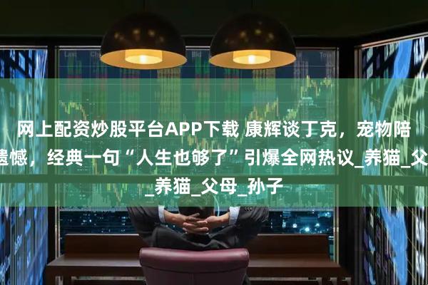 网上配资炒股平台APP下载 康辉谈丁克，宠物陪伴人生遗憾，经典一句“人生也够了”引爆全网热议_养猫_父母_孙子