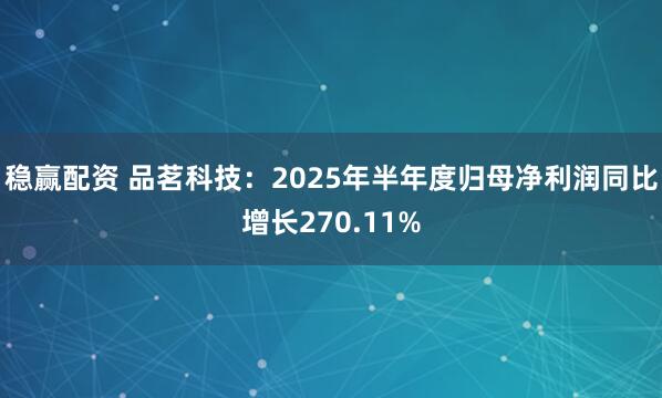 稳赢配资 品茗科技：2025年半年度归母净利润同比增长270.11%