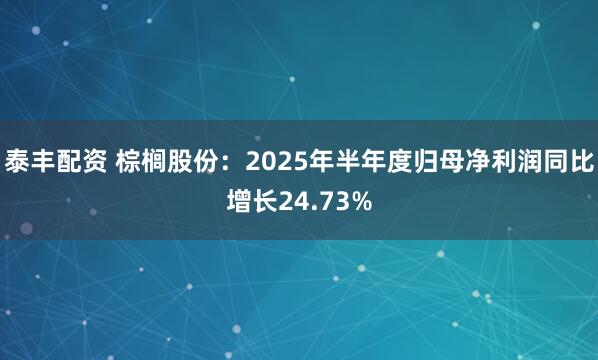 泰丰配资 棕榈股份：2025年半年度归母净利润同比增长24.73%
